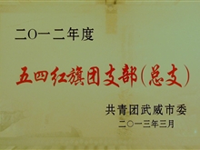 2012年五四红旗团支部（总支）